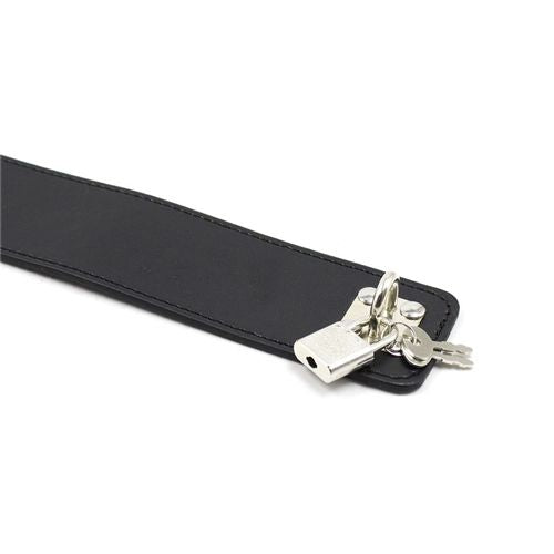 Fetish Art Nipple Clamps with Collar – Περιλαίμιο με Αλυσίδες και Μανταλάκια Θηλών - Image 3